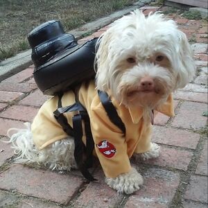 Ghostbusters Dog Pet Costume Jacket & Backpack Halloween Classic sz Medium